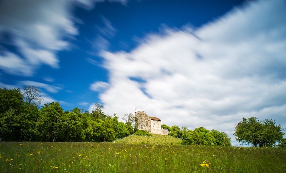 Habsburg, Schloss Habsburg