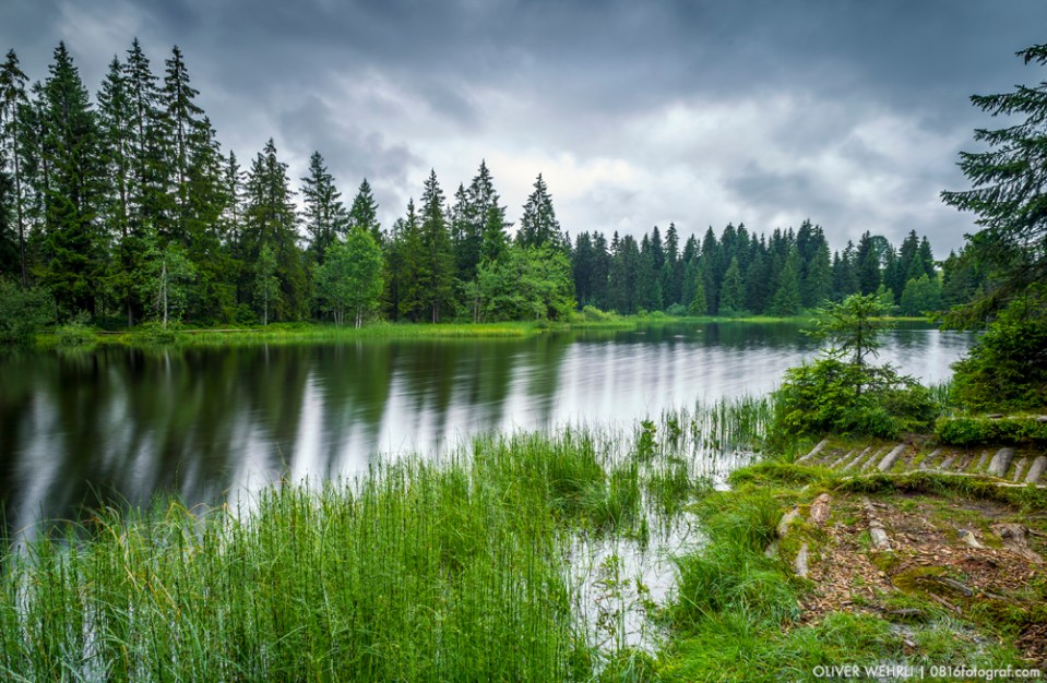 Etang de la Gruère, Jura