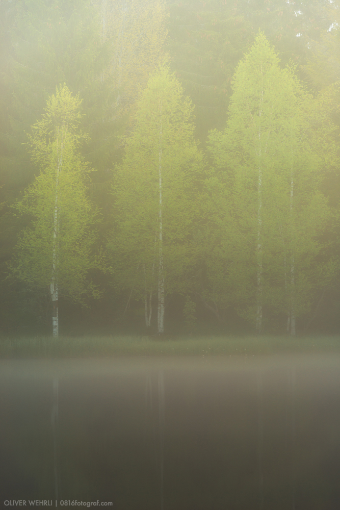 Etang de la Gruère, Jura, Franches Montagne