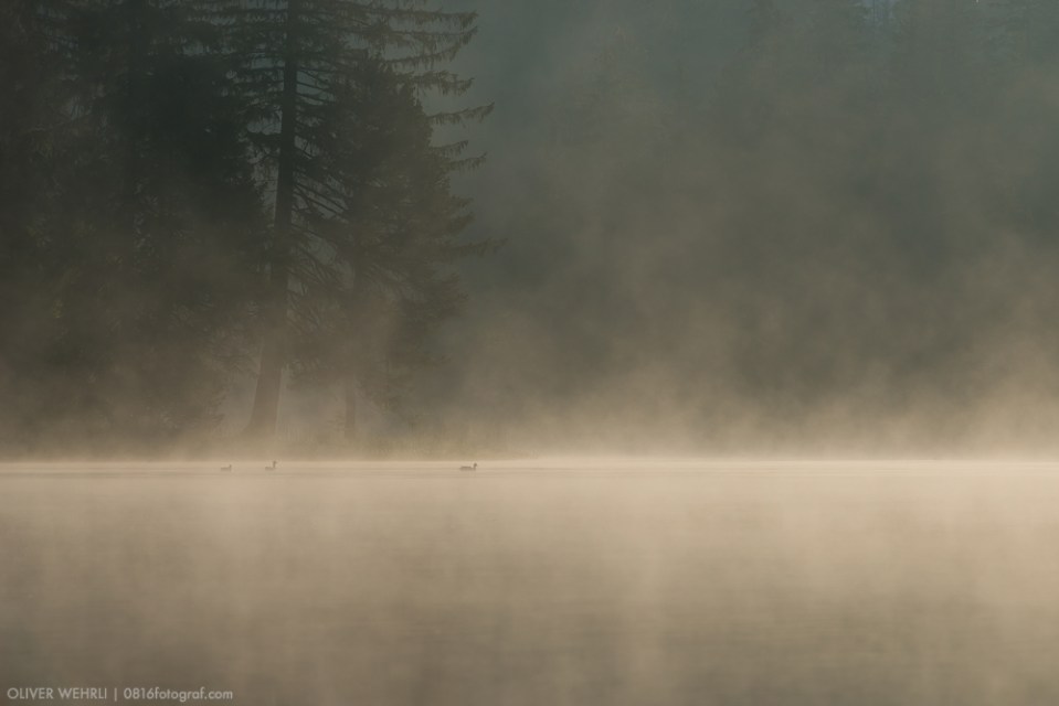 Etang de la Gruère, Jura, Franches Montagne