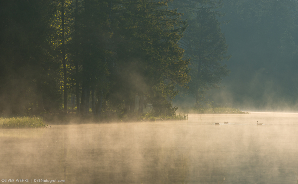 Etang de la Gruère, Jura, Franches Montagne