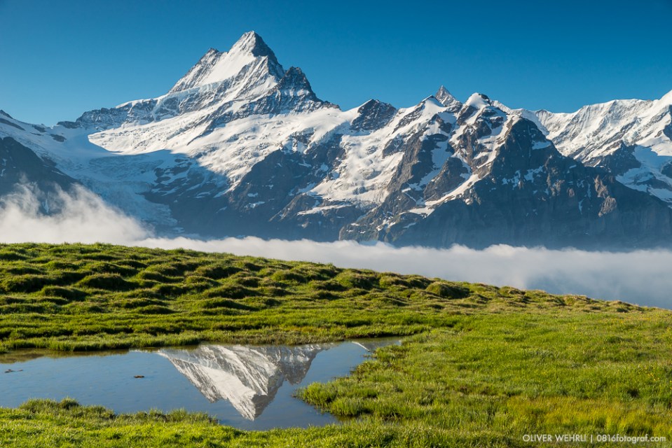 Schreckhorn, Berner Oberland, Berner Alpen, First, Grindelwald