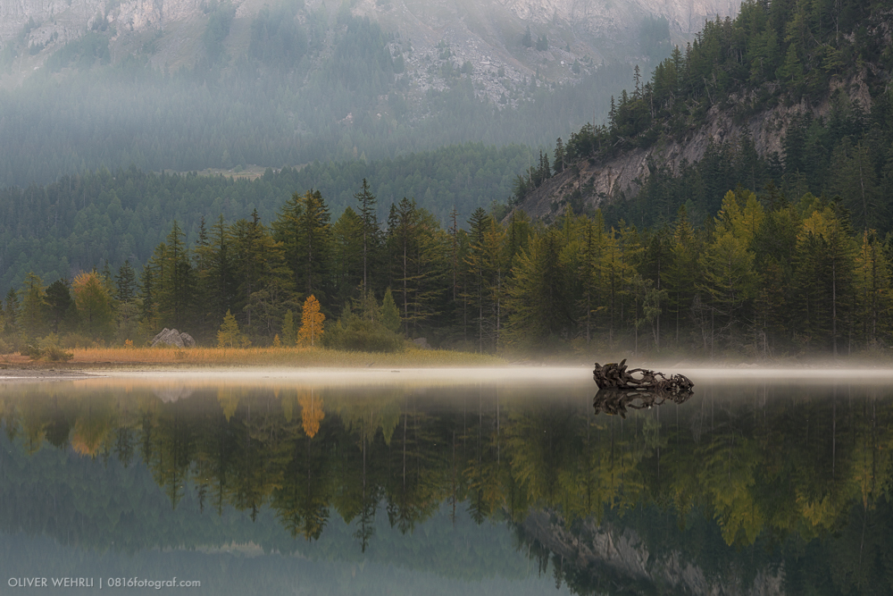 Bergsee, Herbst, Wallis, Unterwallis, Lac de Derborence, Derborence, Diablerets
