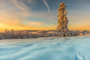 Neuschneen auf Passwang im Jura