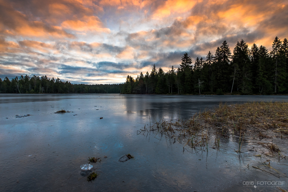 Winter, Gefrorener See, Sonnenaufgang am Etang de la Gruère, Moorsee, Jura, Moorsee