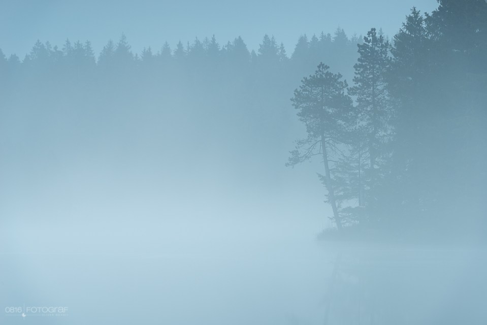 Etang de la Gruère, Morgennebel, Morgendunst