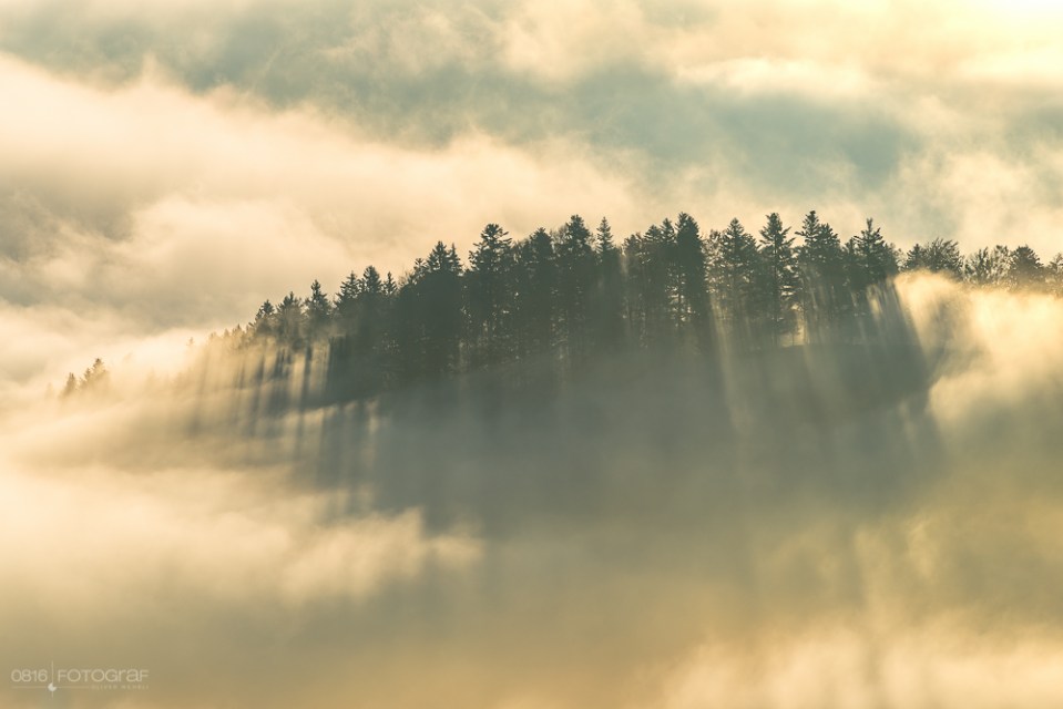 Passwan, Jura, Sonnenstrahlen im Nebelmeer
