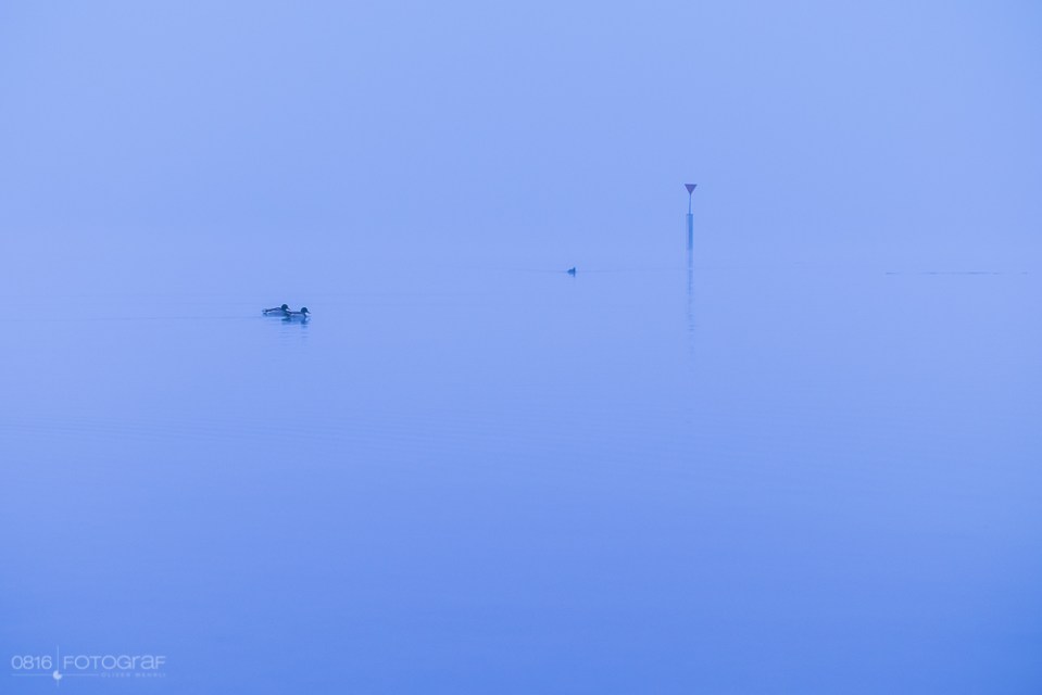 Hallwilersee, Nebel, Morgennebel, Winter