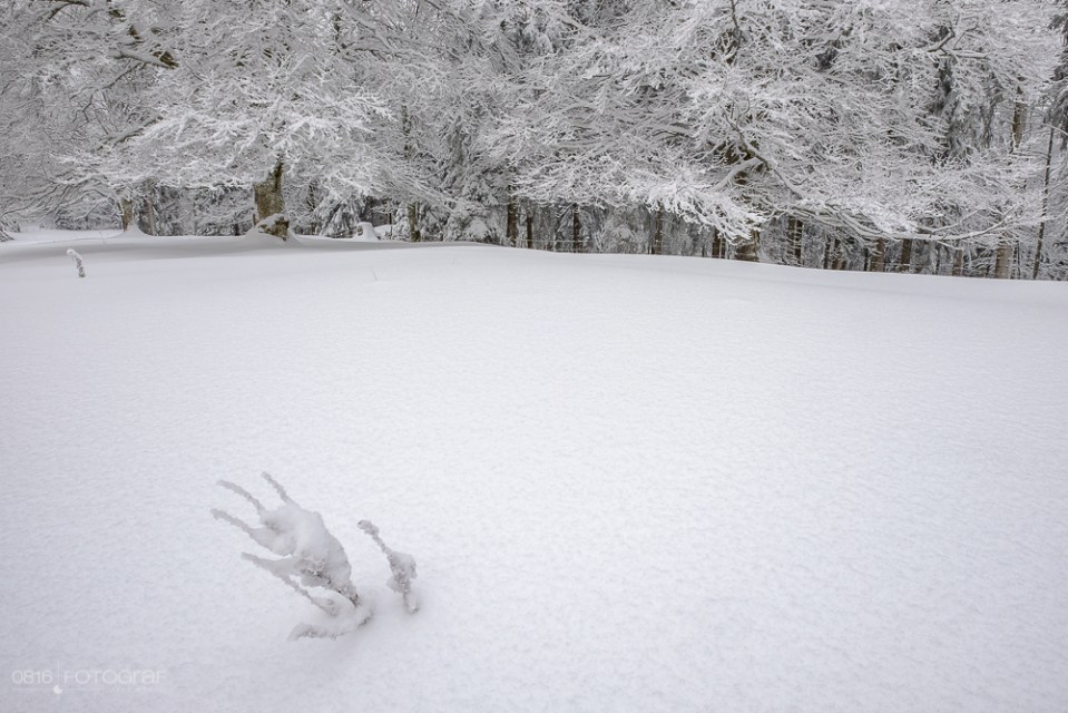 Schnee, winter, jura, grenchenberg, winterlich, neuschnee, landschaft, landschaftsfotografie,