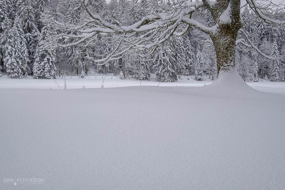 Schnee, winter, jura, grenchenberg, winterlich, neuschnee, landschaft, landschaftsfotografie,