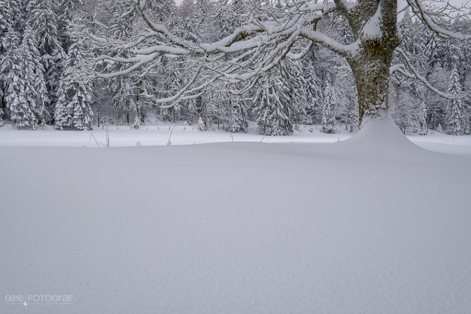 Schnee, winter, jura, grenchenberg, winterlich, neuschnee, landschaft, landschaftsfotografie,