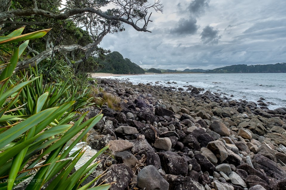 Hot Water Beach, Coromandel, Neuseeland, Strand, Beach,