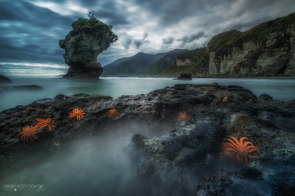 Seesterne, Starfish, Motukiekie Beach, Neuseeland, New Zealand, Beach, Felsen, Seascape