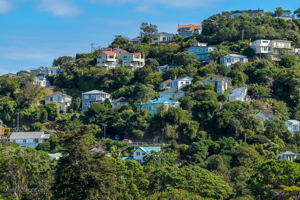 Neuseeland, Wellington, Cable Car, Stadt, Hafenstadt, Neuseeland, New Zealand,