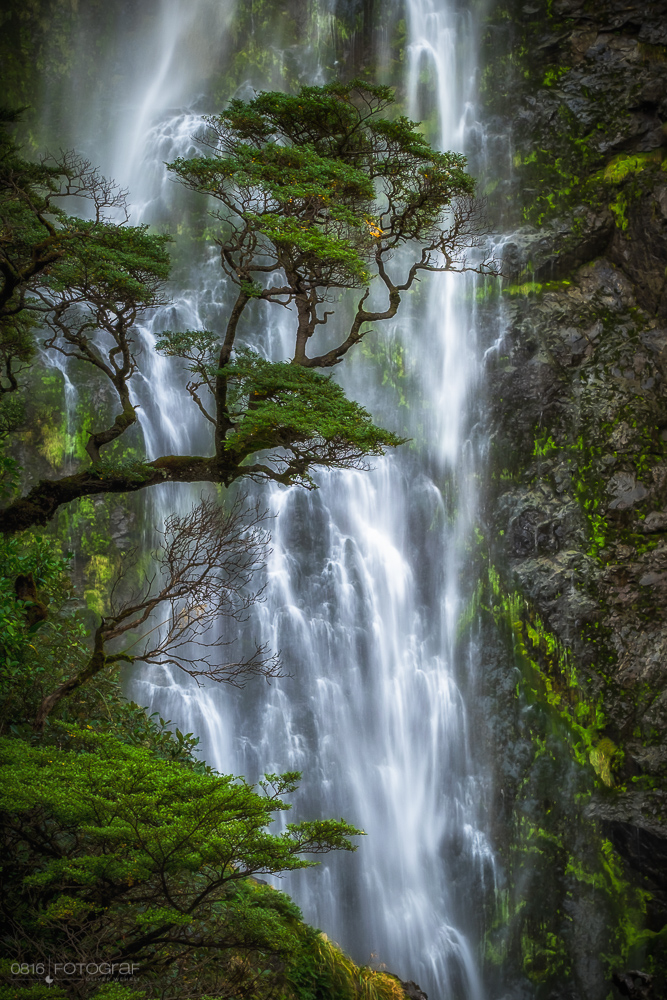 Arthurs Pass, Neuseeland, New Zealand