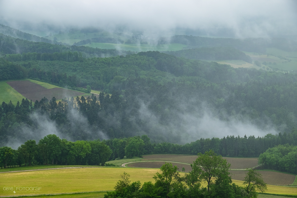Regen und Nebel