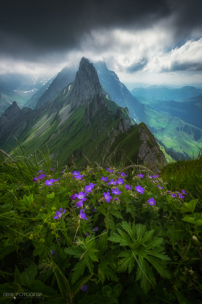 Schäfler, Alpstein, Appenzell, Säntis, Schäfler Sattel, Schäfler Oehrli, Wanderung Schäfler, Wanderung Alpstein,