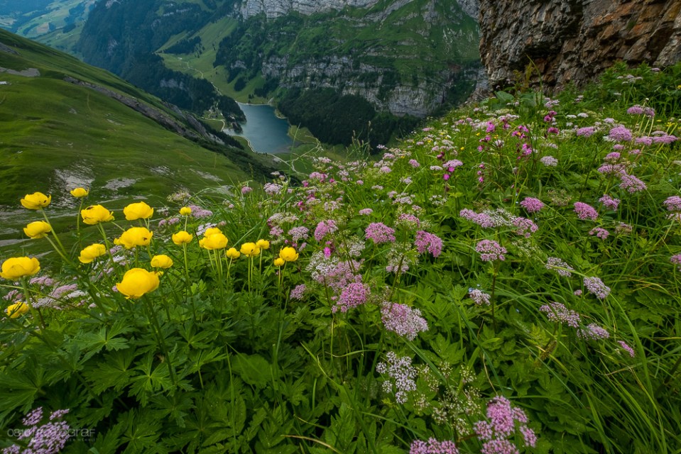 Schäfler, Alpstein, Säntis, Schäfler Sattel, Schäfler Oehrli, Wanderung Schäfler, Wanderung Alpstein,