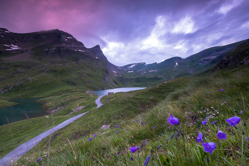 Grindelwald First, Bachalpsee, Bergsee, Berner Oberland, Schreckhorn, Wetterhorn, Finsteraarhorn, Bergspiegelung,