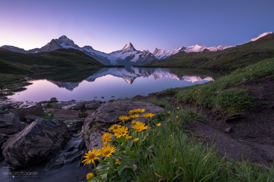Grindelwald First, Bachalpsee, Bergsee, Berner Oberland, Schreckhorn, Wetterhorn, Finsteraarhorn, Bergspiegelung,