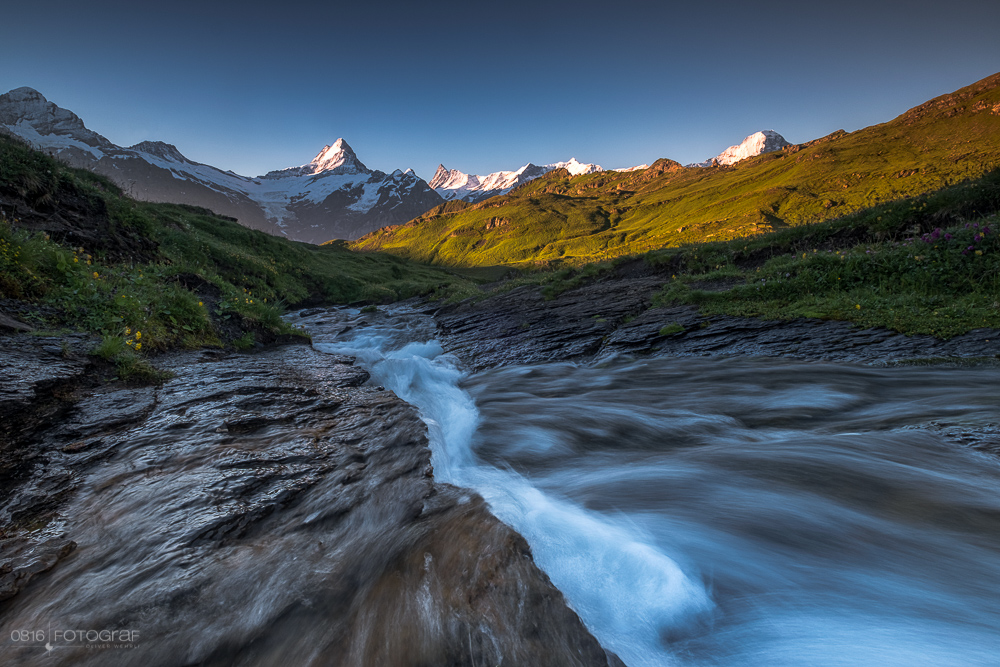 Bergbach, Berner Oberland, Schreckhorn, Wetterhorn, Finsteraarhorn, Bergspiegelung, Bachalpsee