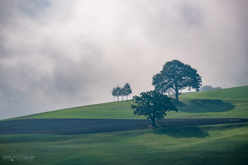 Licht, Sonnenstrahlen, Herbstvorboten, Herbstwald, Nebelwald, Nebel und Sonnenstrahlen