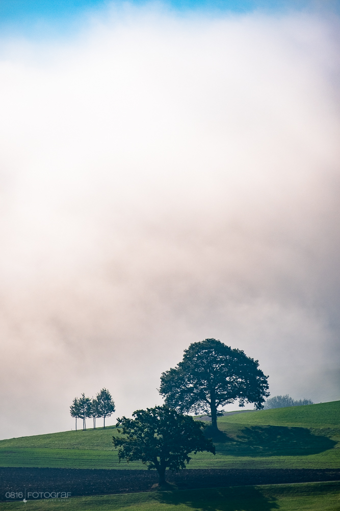 Licht, Sonnenstrahlen, Herbstvorboten, Herbstwald, Nebelwald, Nebel und Sonnenstrahlen