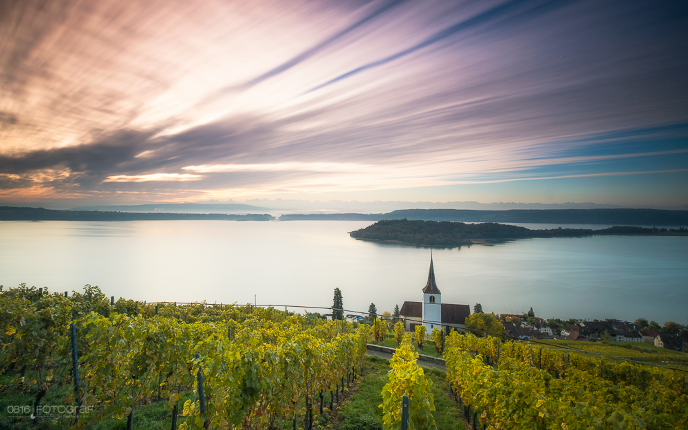 Kirche, Ligerz, Rebberge, Herbst, Morgen, Sonnenaufgang, Kirchlein von Ligerz, Bielersee, Weinberge, Reben, gelbe Reben, Rebberge im Herbst
