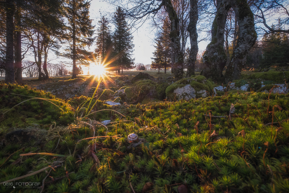 Creux-du-Van, Jura, Neuenburger Jura, Sonnenaufgang, Sturmnebel, Sturmbise, Nebelschwaden, Nebel, Landschaftsfotografie, Fujifilm X-Pro2, Fujifilm