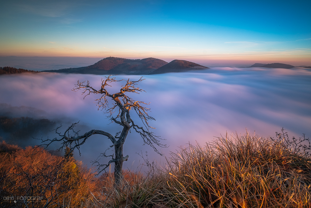 Nebel, Nebelmeer, Winter, Sonnenstrahlen, Morgen, Wasserflue, Aargau, Jura, Schweiz, Landschaftsfotografie, Oliver Wehrli, Fujifilm, Fuji X-Pro2, Nebelmeer