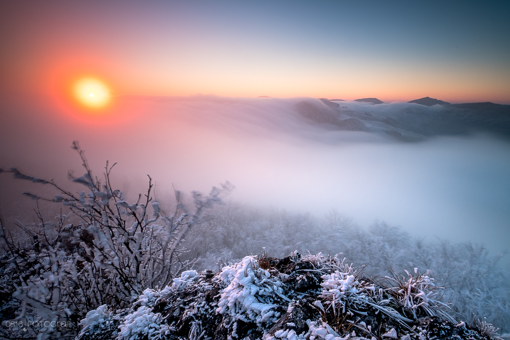 Jura Südfuss, Nebelwelle, Nebel, Abend, Sonnenuntergang, Gisliflue, Aargau, Jura, Schweizer Jura, Swiss Jura, fog, fogwave, fujifilm, fuji xpro2, gitzo, Sonnenuntergang, sunset