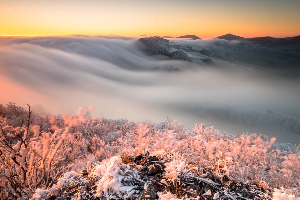 Jura Südfuss, Nebelwelle, Nebel, Abend, Sonnenuntergang, Gisliflue, Aargau, Jura, Schweizer Jura, Swiss Jura, fog, fogwave, fujifilm, fuji xpro2, gitzo, Sonnenuntergang, sunset