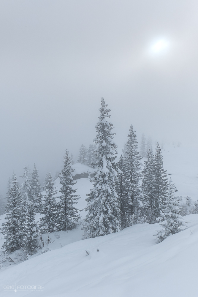 winter, vals, winterlandschaft, valsertal, landschaftsfotografie, landschaften, schweiz, graubünden