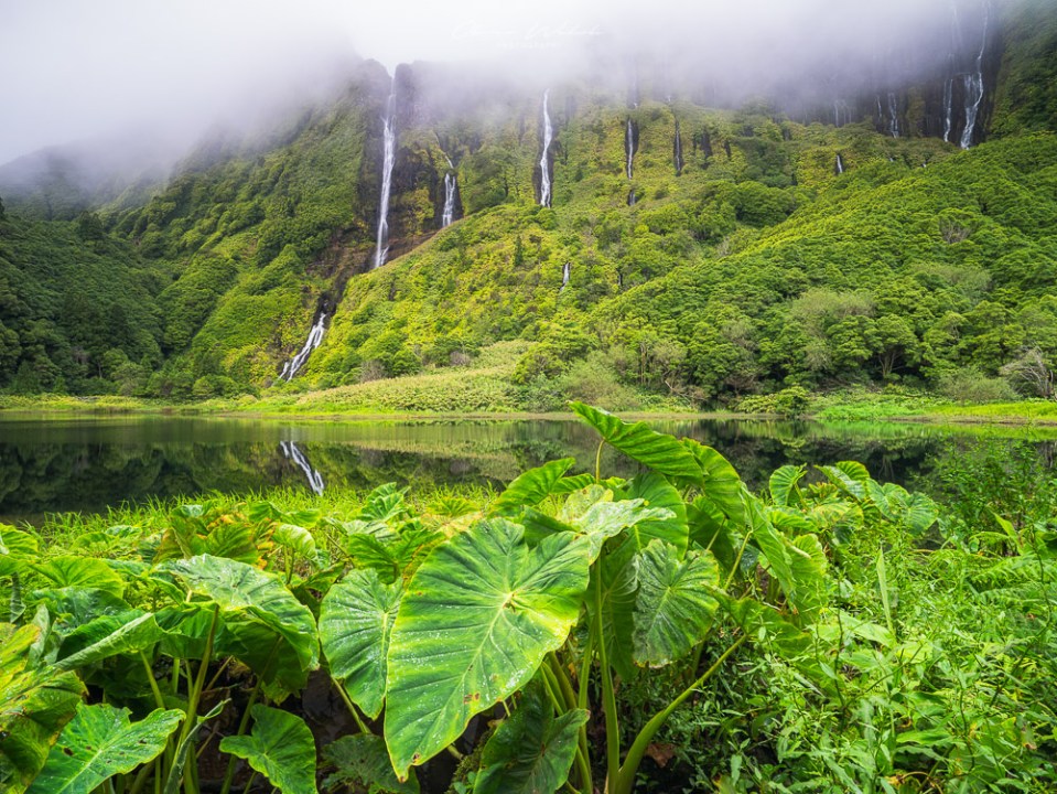 Azoren, Flores, Atlantikinsel, Grün, Landschaft, Landschaftsfotografie, Landscape Photography, Landscape, Flores Landscape, Fujifilm, GFX, Mittelformat, Medium Format, Fotografie, Landscaper,