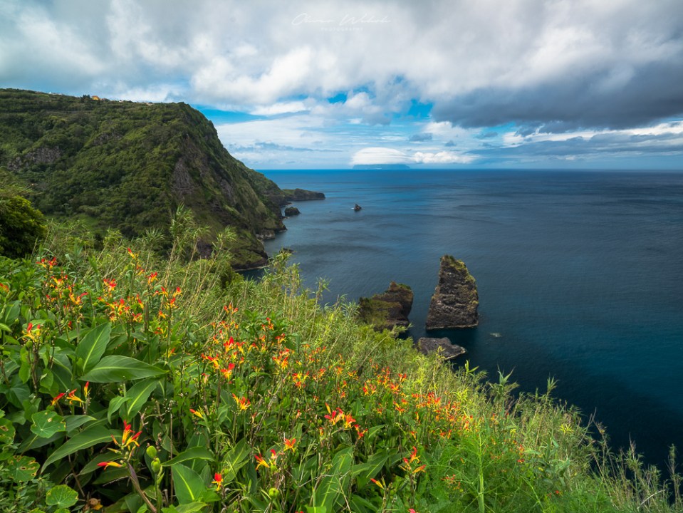 Azoren, Flores, Atlantikinsel, Grün, Landschaft, Landschaftsfotografie, Landscape Photography, Landscape, Flores Landscape, Fujifilm, GFX, Mittelformat, Medium Format, Fotografie, Landscaper,