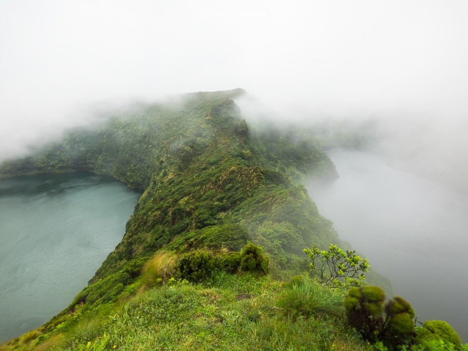 Azoren, Flores, Atlantikinsel, Grün, Landschaft, Landschaftsfotografie, Landscape Photography, Landscape, Flores Landscape, Fujifilm, GFX, Mittelformat, Medium Format, Fotografie, Landscaper,