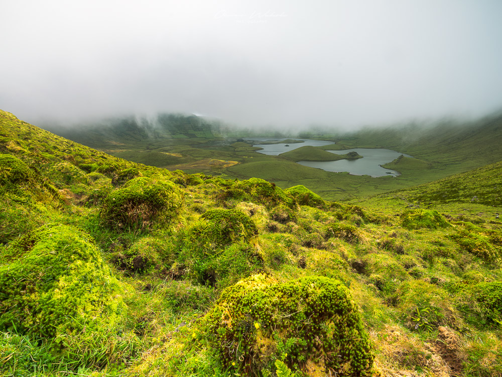 Vulkan, Corvo, Azoren, Inseln, Atlantikinsel, Portugal, Landschaft, Landschaftsfotografie, Nebel, Vulkankrater,