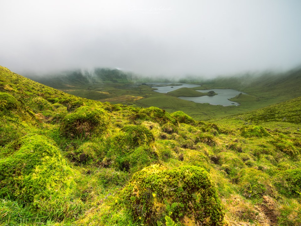 Vulkan, Corvo, Azoren, Inseln, Atlantikinsel, Portugal, Landschaft, Landschaftsfotografie, Nebel, Vulkankrater,