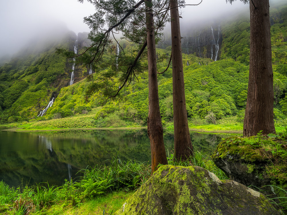 Azoren, Flores, Atlantikinsel, Grün, Landschaft, Landschaftsfotografie, Landscape Photography, Landscape, Flores Landscape, Fujifilm, GFX, Mittelformat, Medium Format, Fotografie, Landscaper,