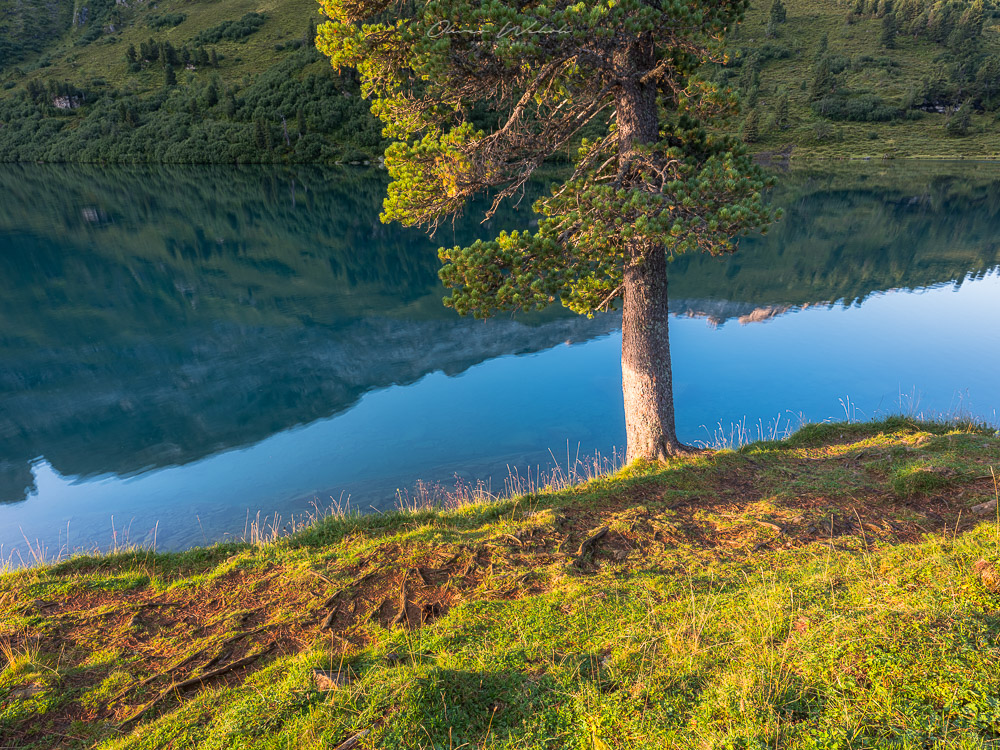 Sonnenaufgang, Engstlensee, Schweiz, Bergsee, Landschaftsfotografie, Gental, Berner Oberland, Bergsee Schweiz, Swiss mountain lake, landscape photography, landschaftsfotograf, fujifilm, gfx, mittelformat,
