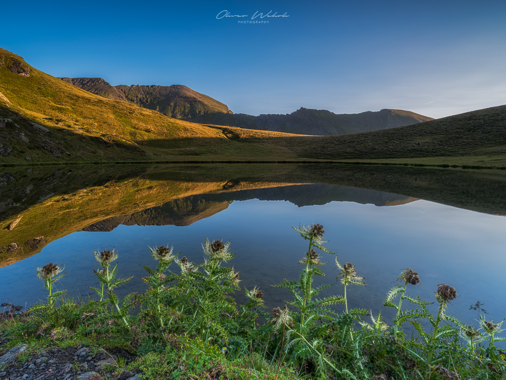 Fujifilm GFX Landscape, sonnenaufgang, bergsee, berner oberland, wetterhorn, spiegelung, hornseeli, hornsee, grindelwald, bergsee grindelwald, bergsee schweiz, fujifilm gfx, gfx 50s, landschaftsfotografie bergsee, mountain lake switzerland, swiss mountain lake, sunrise, landschaftsfoto bergsee, berge, bergfotografie, wetterhorn foto, wetterhorn spiegelung