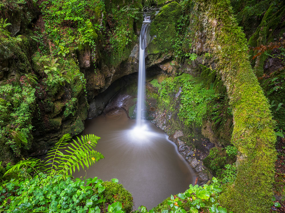 Schwarzwald, Wasserfälle, Wasserfall, Landschaftsfotografie, Landschaften, Naturfotos Schwarzwald, Landschaftsfoto Schwarzwald, Wasserfälle Schwarzwald, Fujifilm GFX, Mittelformat, Landschaften, Wasserläufe, Landschaftsfotografie, Wasserfallf-Fotografie, Waterfalls Schwarzwald
