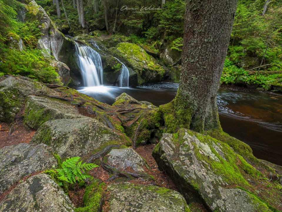 Schwarzwald, Wasserfälle, Wasserfall, Landschaftsfotografie, Landschaften, Naturfotos Schwarzwald, Landschaftsfoto Schwarzwald, Wasserfälle Schwarzwald, Fujifilm GFX, Mittelformat, Landschaften, Wasserläufe, Landschaftsfotografie, Wasserfallf-Fotografie, Waterfalls Schwarzwald