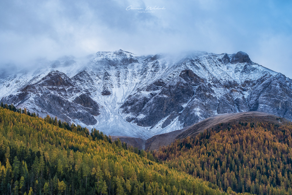 Herbst, Lärchen, Indian Summer, Engadin, Oberengadin, Herbststimmung Engadin, Landschaftsfoto Schweiz, Landschaftsfotografie Schweiz, Landschaftsfoto Herbst Schweiz, Fujifilm GFX Landscape. GFX Landscape Photography, Fujifilm, Sonnenaufgang Engadin, Landschaftsfotograf, Landschaft Herbst