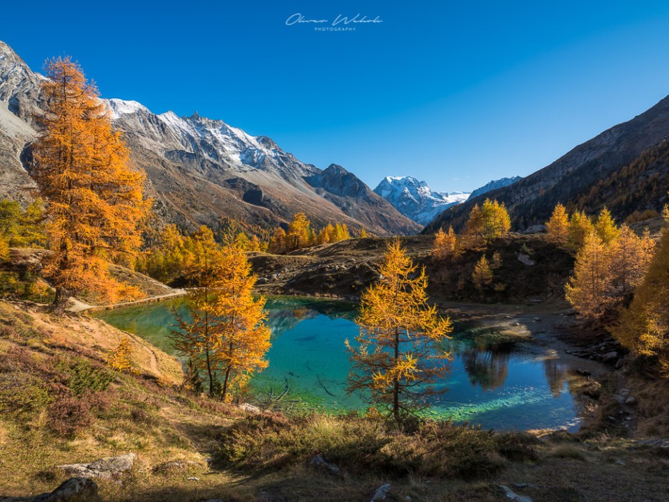 Lac Bleu, Val d'Hérens, Herbst am Lac Bleu, Lac Bleu Valais, Autumn Lac Bleu, Herbst, Herbstlicht, Autumn, Wallis, Valais, Landschaftsfoto Herbst, Herbstfoto, Landschaftsbilder Herbst, Fujifilm GFX Landscape, GFX Landscapes, Landscape Photography, Fall, Swiss Landscape, Schweizer Landschaftsfotografie, Landschaftsfotografie Schweiz, Herbstfoto Schweiz, Landschaftsfotografie, Landschaftsfotograf Schweiz, Landschaftsbild Wallis Herbst, Indian Summer, Swiss Indian Summer, Swiss Landscapes