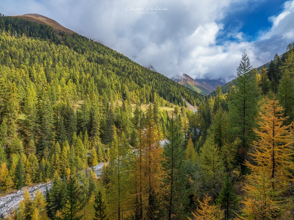 Herbst, Lärchen, Indian Summer, Engadin, Oberengadin, Herbststimmung Engadin, Landschaftsfoto Schweiz, Landschaftsfotografie Schweiz, Landschaftsfoto Herbst Schweiz, Fujifilm GFX Landscape. GFX Landscape Photography, Fujifilm, Sonnenaufgang Engadin, Landschaftsfotograf, Landschaft Herbst, Val Trupchun, Nationalpark Schweiz