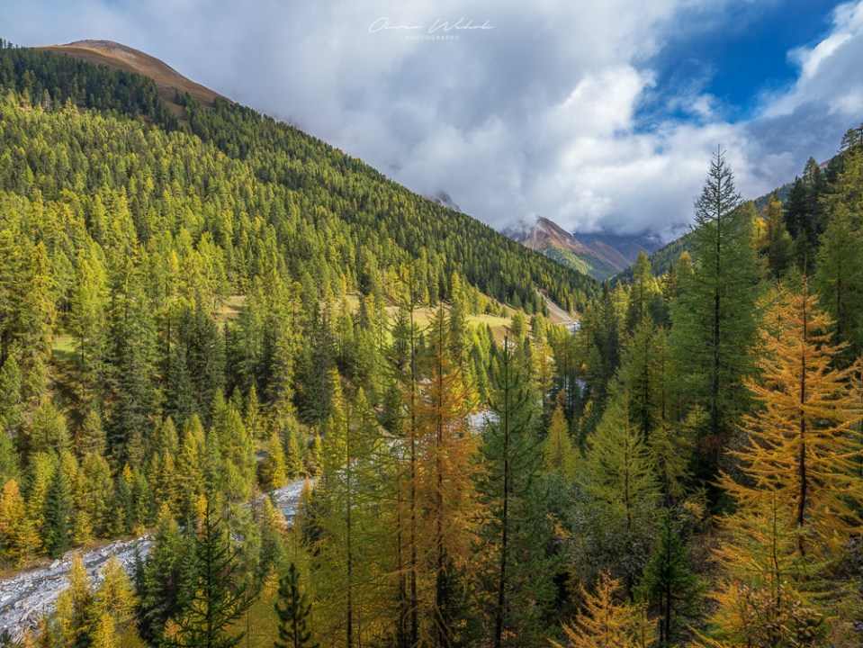 Herbst, Lärchen, Indian Summer, Engadin, Oberengadin, Herbststimmung Engadin, Landschaftsfoto Schweiz, Landschaftsfotografie Schweiz, Landschaftsfoto Herbst Schweiz, Fujifilm GFX Landscape. GFX Landscape Photography, Fujifilm, Sonnenaufgang Engadin, Landschaftsfotograf, Landschaft Herbst, Val Trupchun, Nationalpark Schweiz