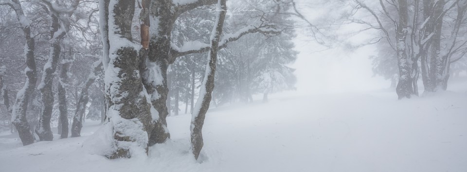 fine art winterfoto, fine art landscapes, gfx landscape photography, fujifilm gfx photography, gfx landschaftsfotografie, creux-du-van, neuenburger jura, schweizer landschaftsfoto winter, winter im jura, Winterwald, winter, landschaftsbild schweiz, winter landschaftsfoto, landschaftsfotograf, landscapes, swiss jura, swiss landscapes,