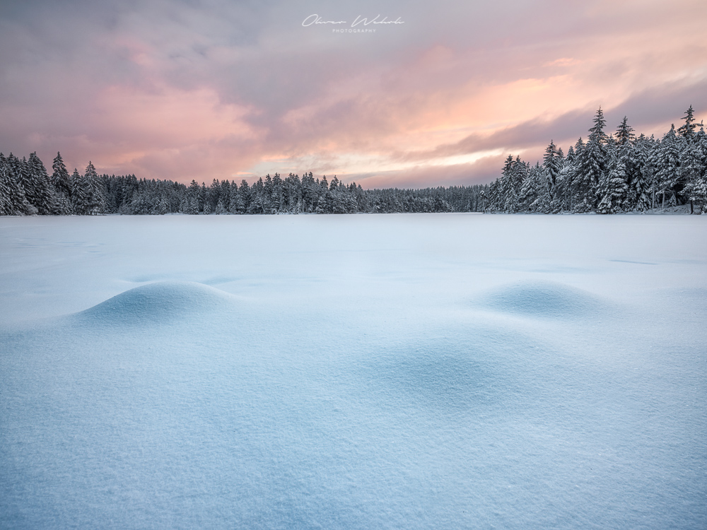 Landschaft, Winter, Winterlandschaft, Etang de la Gruère, Winter, Winterlandschaft, Jura, Landschaftsfoto, Landschaftsfotograf, GFX Landscape,