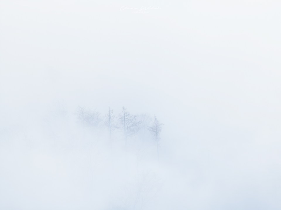 winter, nebel, aargau, landschaftsfotografie